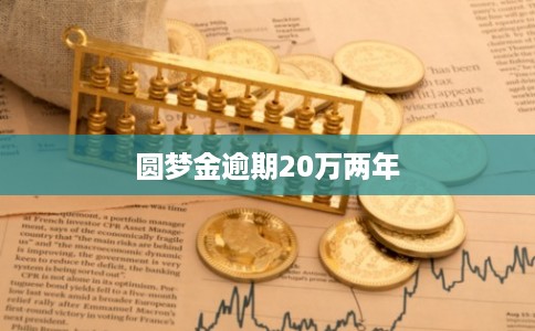 圆梦金逾期20万两年 圆梦金逾期20万两年