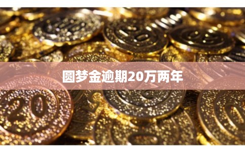 圆梦金逾期20万两年