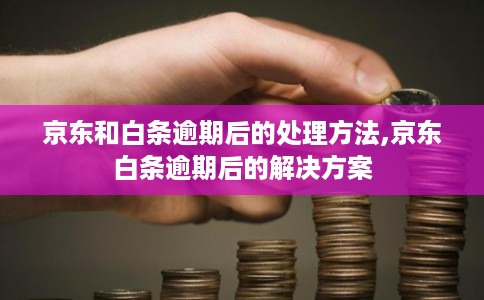 京东和白条逾期后的处理方法,京东白条逾期后的解决方案