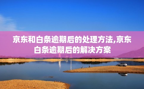 京东和白条逾期后的处理方法,京东白条逾期后的解决方案
