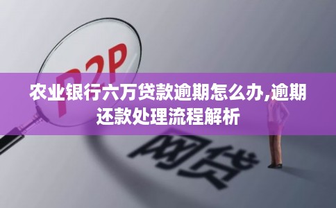 农业银行六万贷款逾期怎么办,逾期还款处理流程解析 农业银行六万贷款逾期怎么办,逾期还款处理流程解析