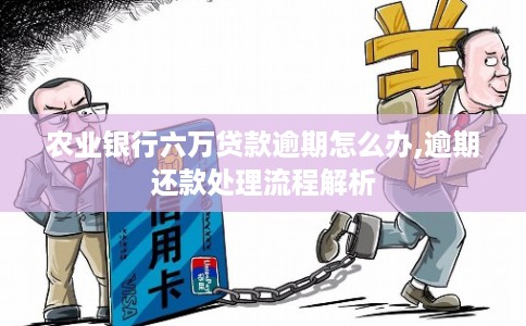 农业银行六万贷款逾期怎么办,逾期还款处理流程解析