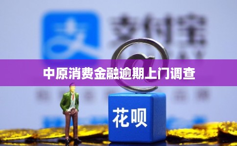 中原消费金融逾期上门调查 中原消费金融逾期上门调查