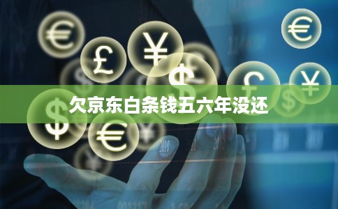 欠京东白条钱五六年没还