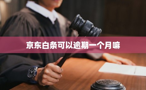 京东白条可以逾期一个月嘛
