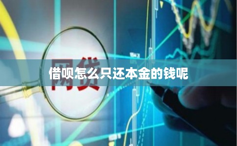 借呗怎么只还本金的钱呢