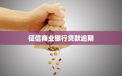 征信商业银行贷款逾期