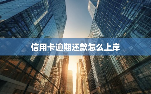 信用卡逾期还款怎么上岸