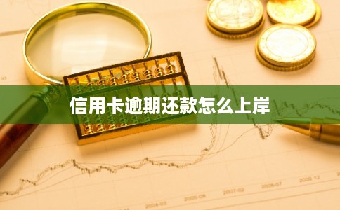 信用卡逾期还款怎么上岸