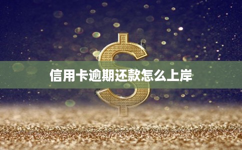 信用卡逾期还款怎么上岸
