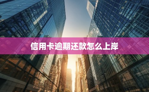 信用卡逾期还款怎么上岸