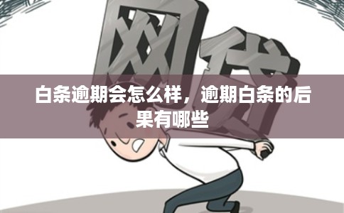 白条逾期会怎么样,逾期白条的后果有哪些 白条逾期会怎么样,逾期白条的后果有哪些