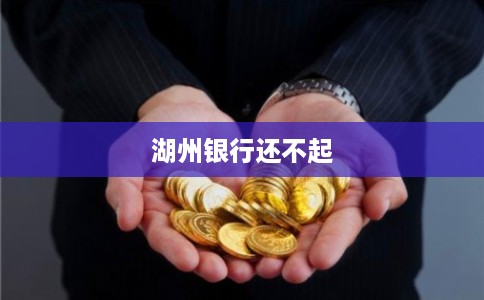 湖州银行还不起 湖州银行还不起