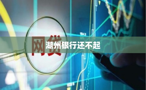 湖州银行还不起 湖州银行还不起