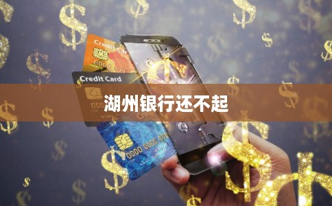 湖州银行还不起