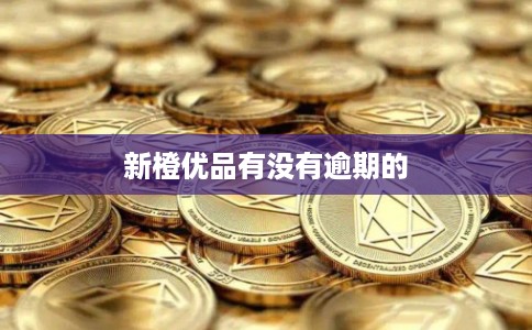 新橙优品有没有逾期的