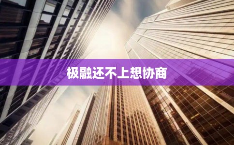 极融还不上想协商 极融还不上想协商