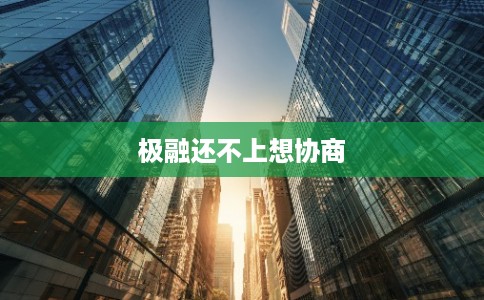 极融还不上想协商 极融还不上想协商