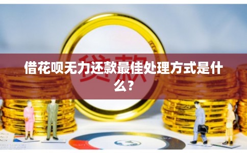 借花呗无力还款最佳处理方式是什么? 借花呗无力还款最佳处理方式是什么?