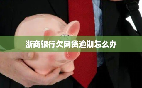 浙商银行欠网贷逾期怎么办
