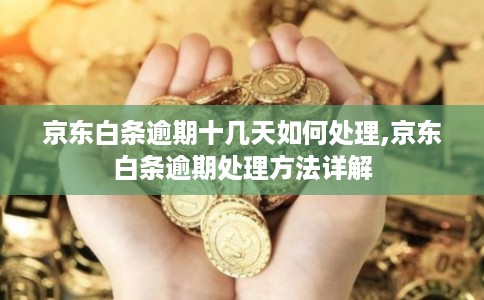 京东白条逾期十几天如何处理,京东白条逾期处理方法详解 京东白条逾期十几天如何处理,京东白条逾期处理方法详解