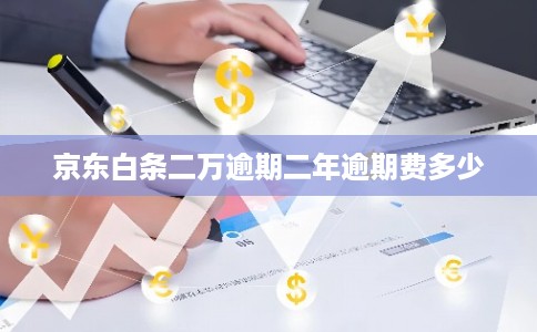京东白条二万逾期二年逾期费多少