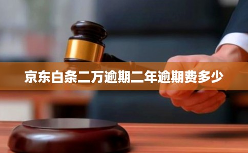 京东白条二万逾期二年逾期费多少