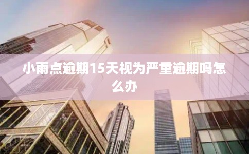 小雨点逾期15天视为严重逾期吗怎么办 小雨点逾期15天视为严重逾期吗怎么办