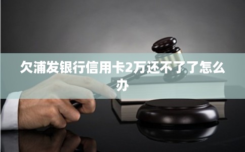 欠浦发银行信用卡2万还不了了怎么办