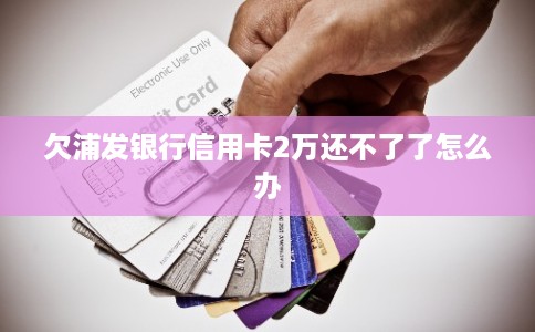 欠浦发银行信用卡2万还不了了怎么办