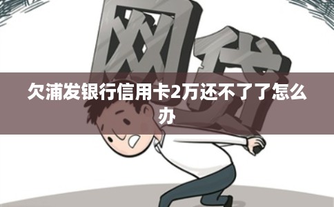 欠浦发银行信用卡2万还不了了怎么办