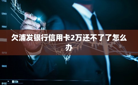 欠浦发银行信用卡2万还不了了怎么办