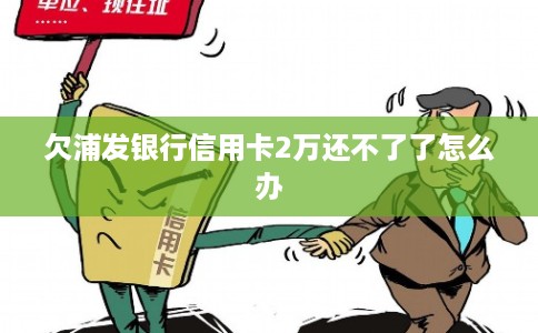 欠浦发银行信用卡2万还不了了怎么办