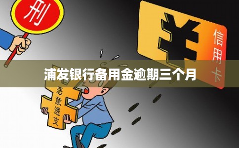 浦发银行备用金逾期三个月