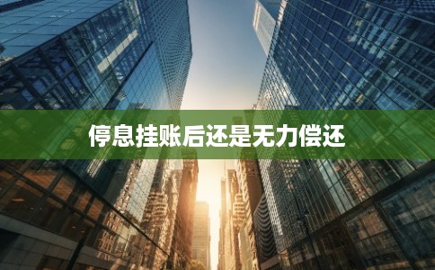 停息挂账后还是无力偿还