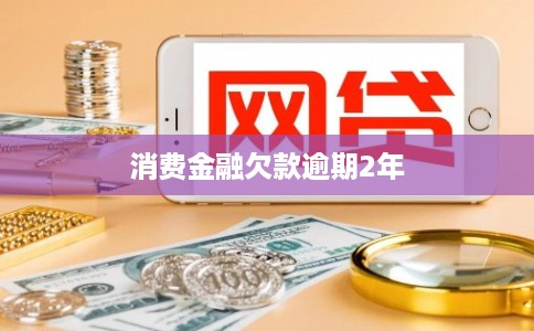 消费金融欠款逾期2年