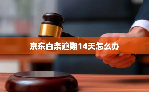 京东白条逾期14天怎么办 京东白条逾期14天怎么办