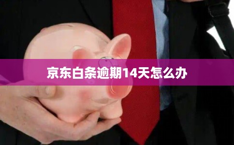 京东白条逾期14天怎么办 京东白条逾期14天怎么办