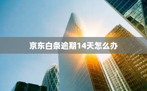 京东白条逾期14天怎么办 京东白条逾期14天怎么办