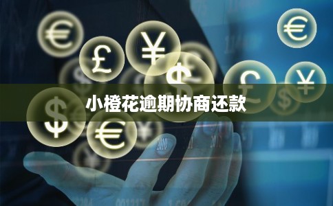 小橙花逾期协商还款 小橙花逾期协商还款