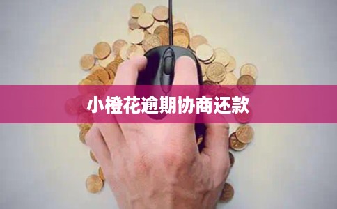 小橙花逾期协商还款 小橙花逾期协商还款