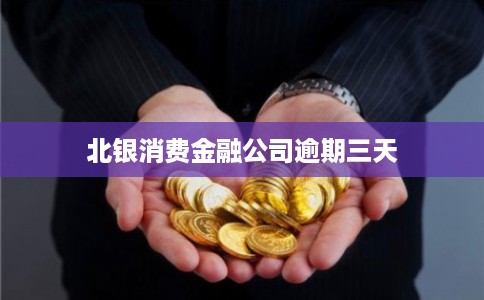 北银消费金融公司逾期三天 北银消费金融公司逾期三天