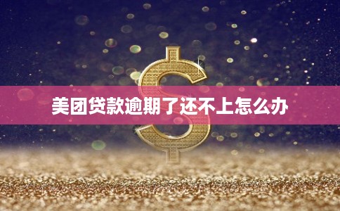 美团贷款逾期了还不上怎么办