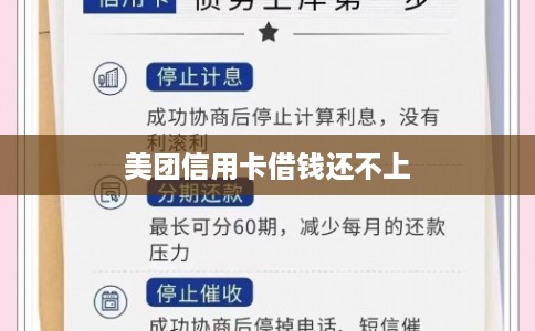 美团信用卡借钱还不上