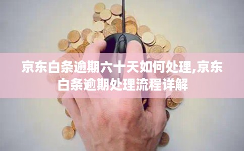 京东白条逾期六十天如何处理,京东白条逾期处理流程详解 京东白条逾期六十天如何处理,京东白条逾期处理流程详解