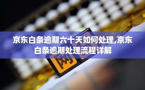 京东白条逾期六十天如何处理,京东白条逾期处理流程详解