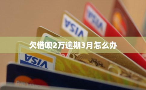 欠借呗2万逾期3月怎么办