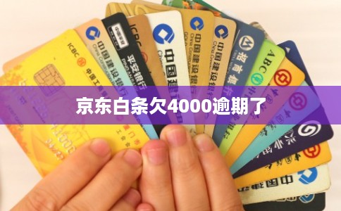 京东白条欠4000逾期了 京东白条欠4000逾期了