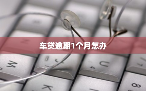 车贷逾期1个月怎办 车贷逾期1个月怎办