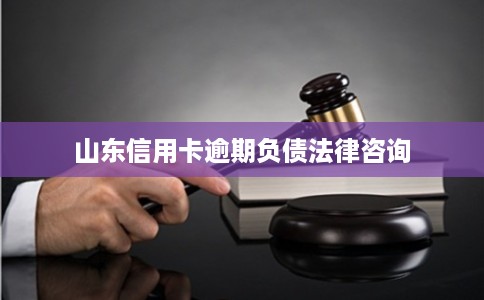 山东信用卡逾期负债法律咨询
